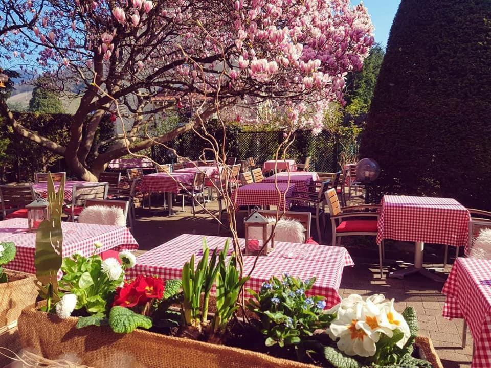 Hotel Restaurant Aux Sapins Thann Exterior photo