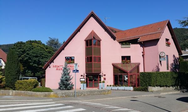 Hotel Restaurant Aux Sapins Thann Exterior photo